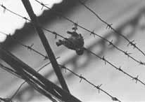 Click on the image to enlarge (30.2 kB)